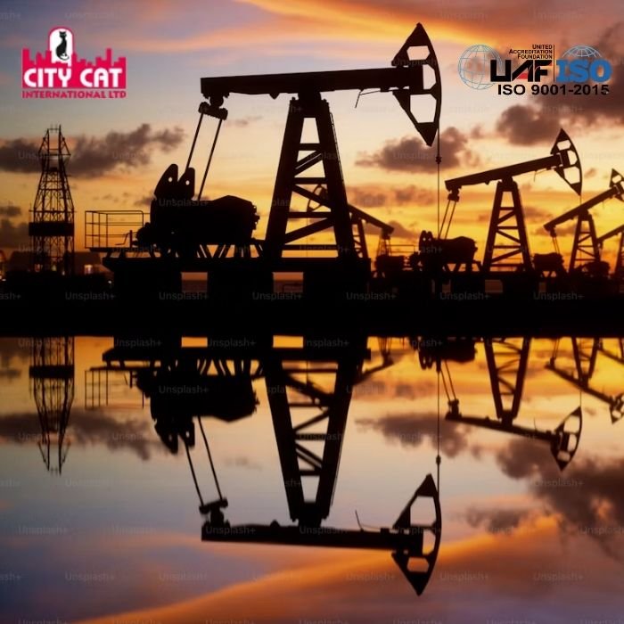 City Cat Oil and Gas Parts